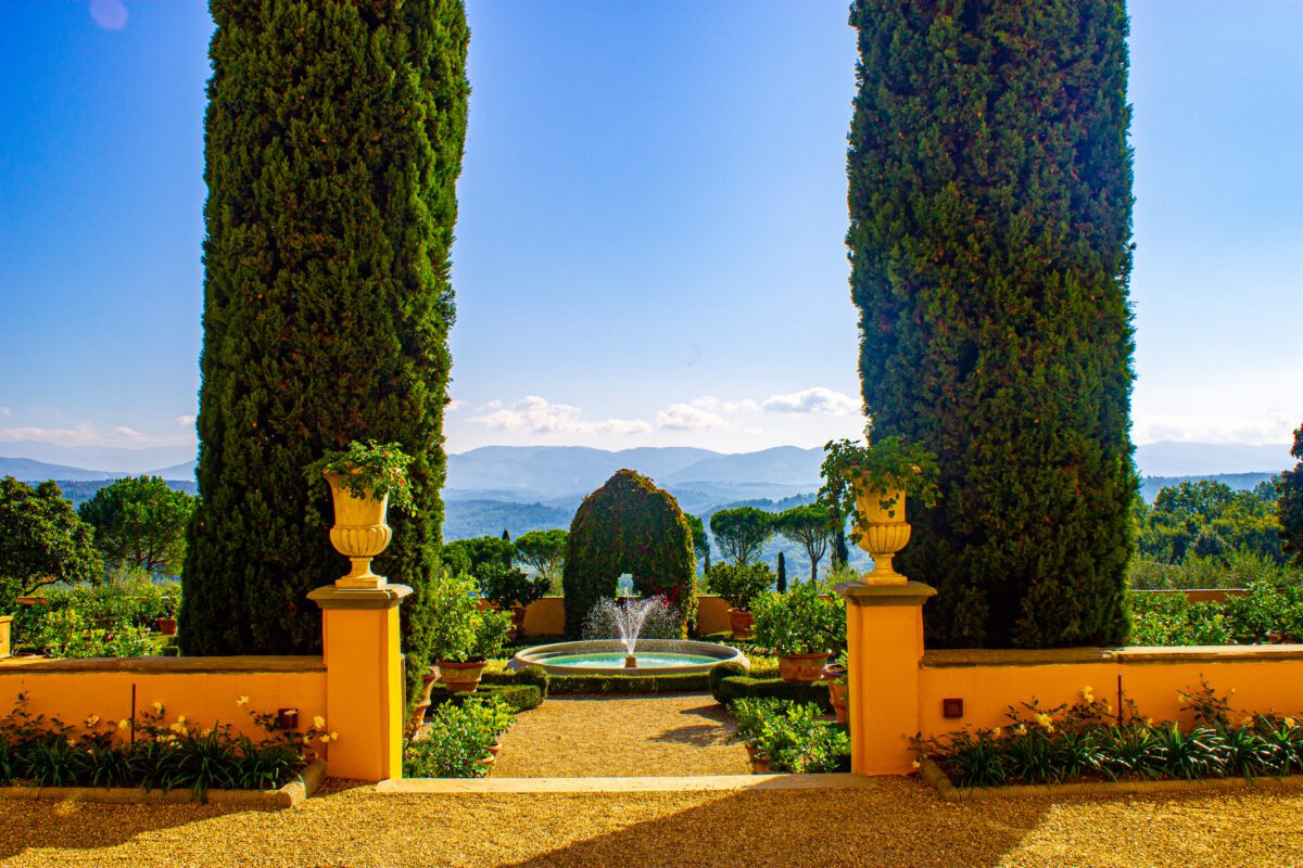 Tuscan Vineyard