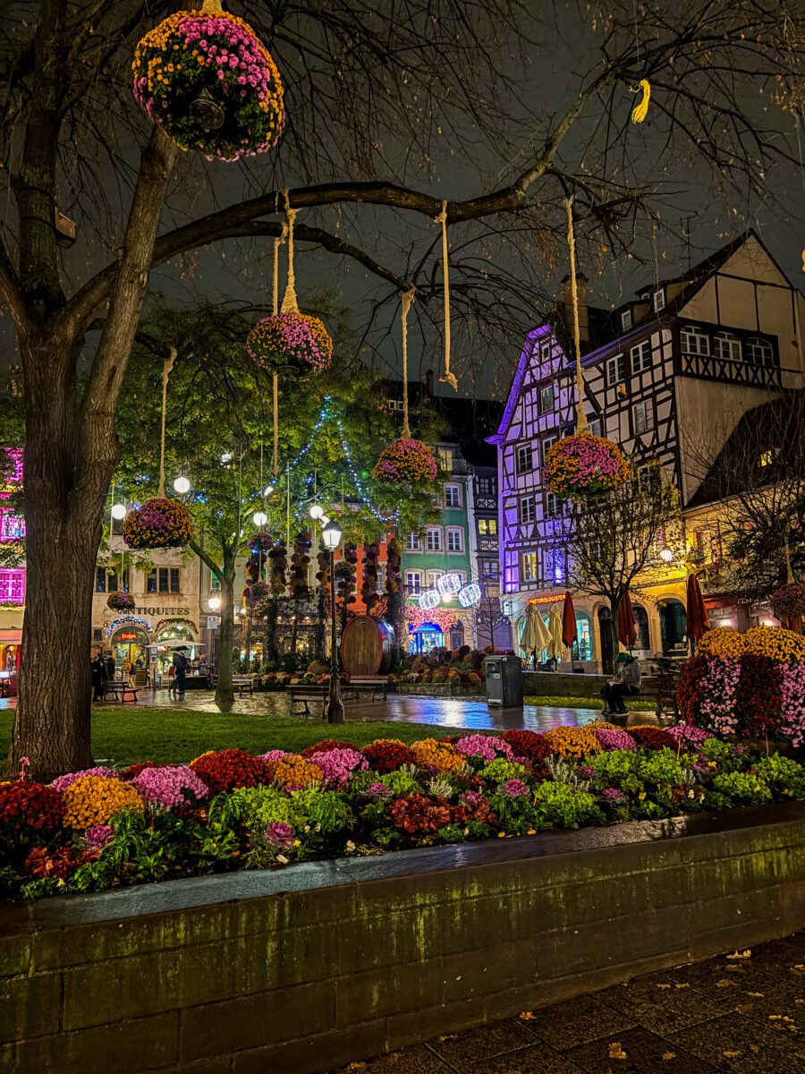 Pl. des Tripiers. Strasbourg
