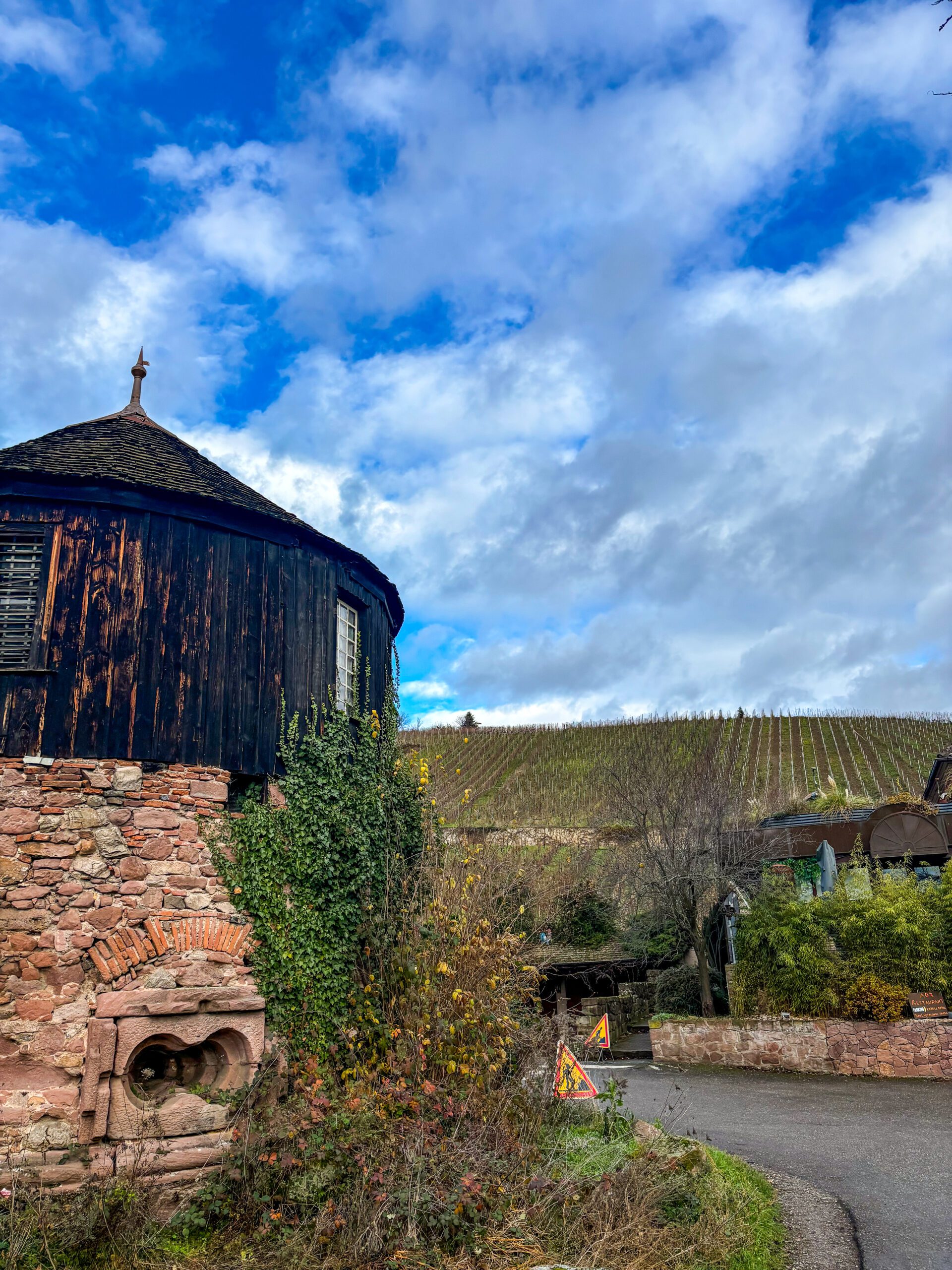 Riquewihr France Vineyards