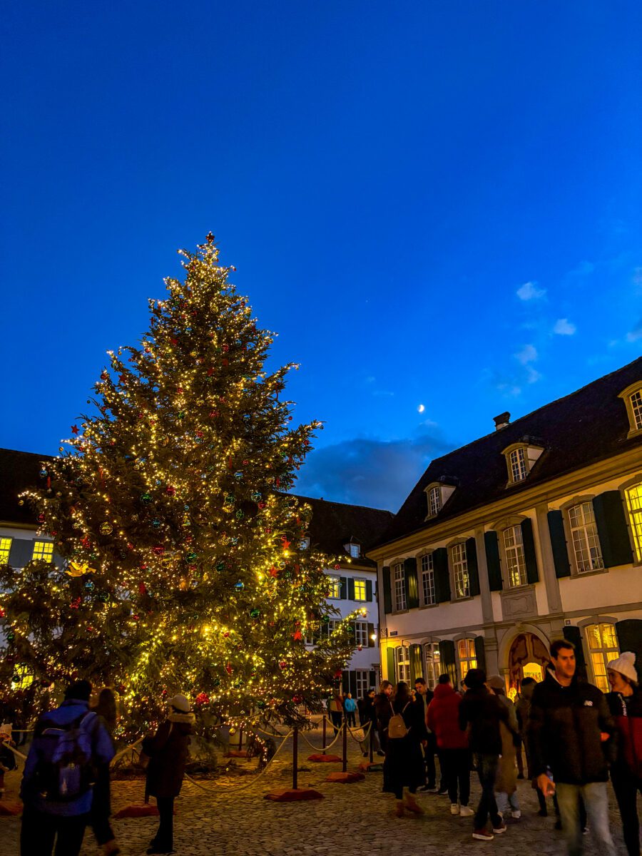 Basel Christmas Tree Twilight