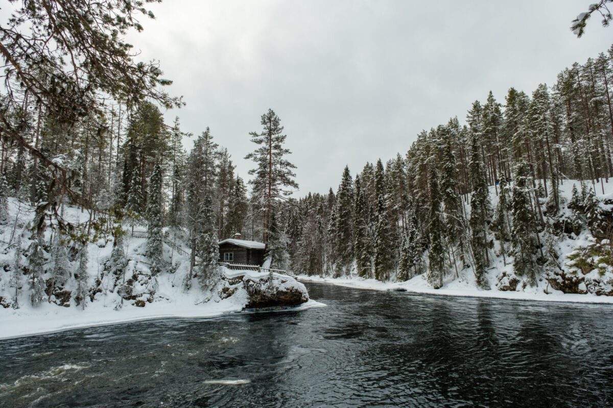 Oulanka National Park Lapland
