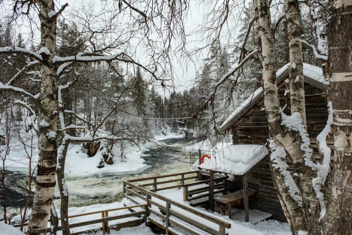 Oulanka National Park Lapland
