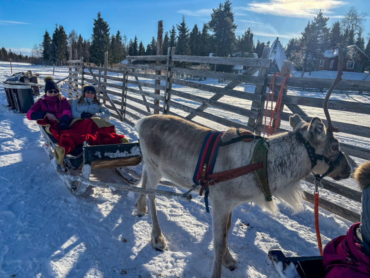 Sleigh Ride Levi Lapland