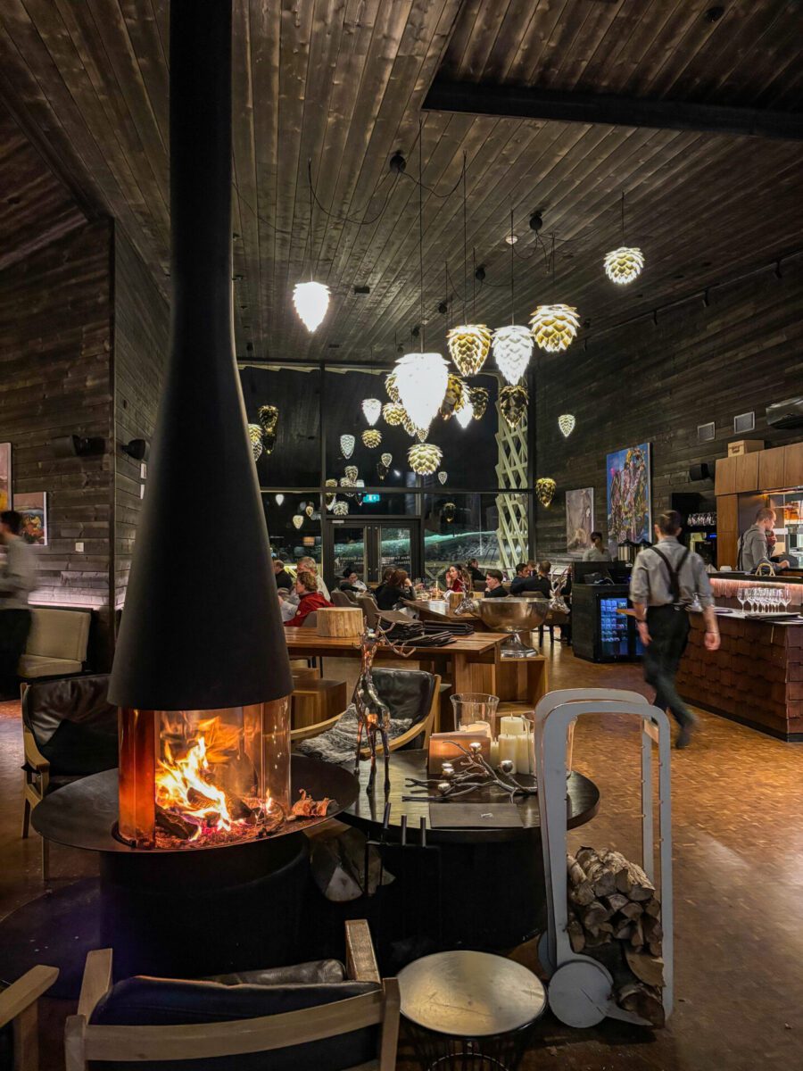 Dinner at Arctic Treehouse Hotel Rovaniemi