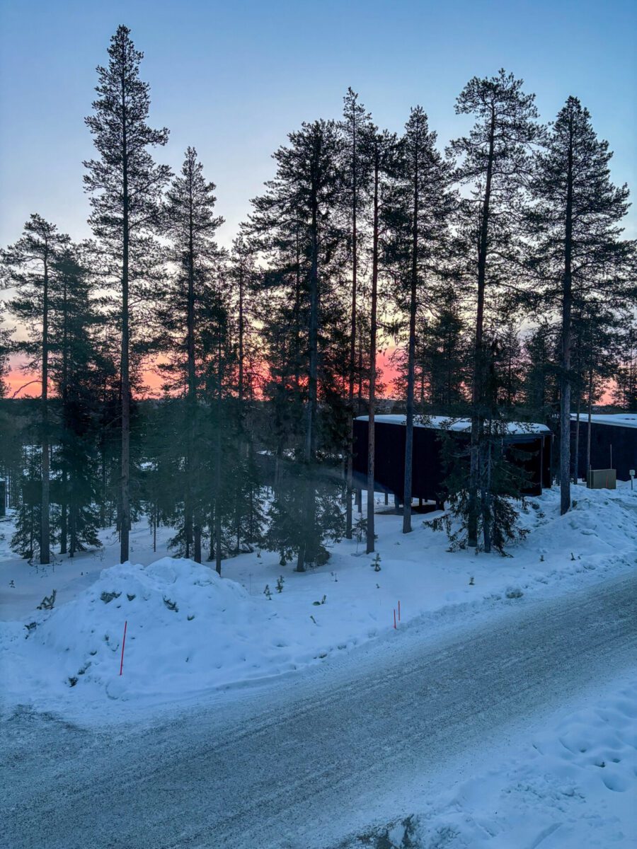 Sunrise from an Arctic Treehouse