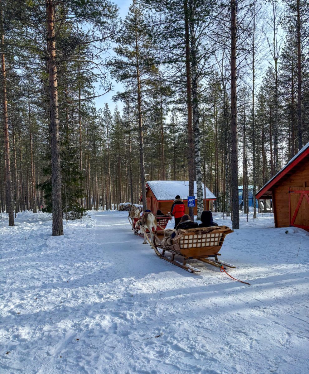 Sleigh Rides Rovaniemi Lapland