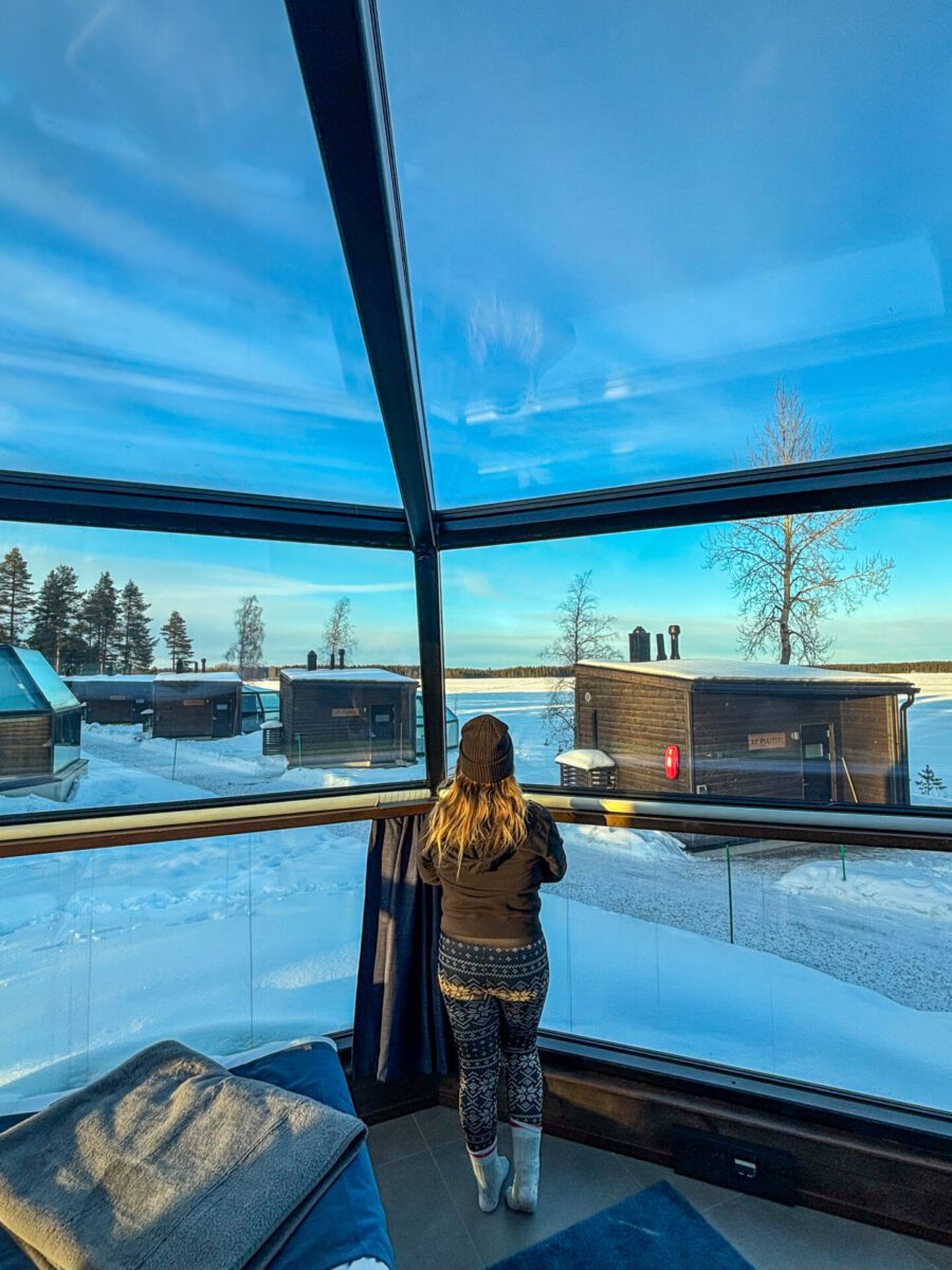 Arctic Fox Igloos Ranua Finland
