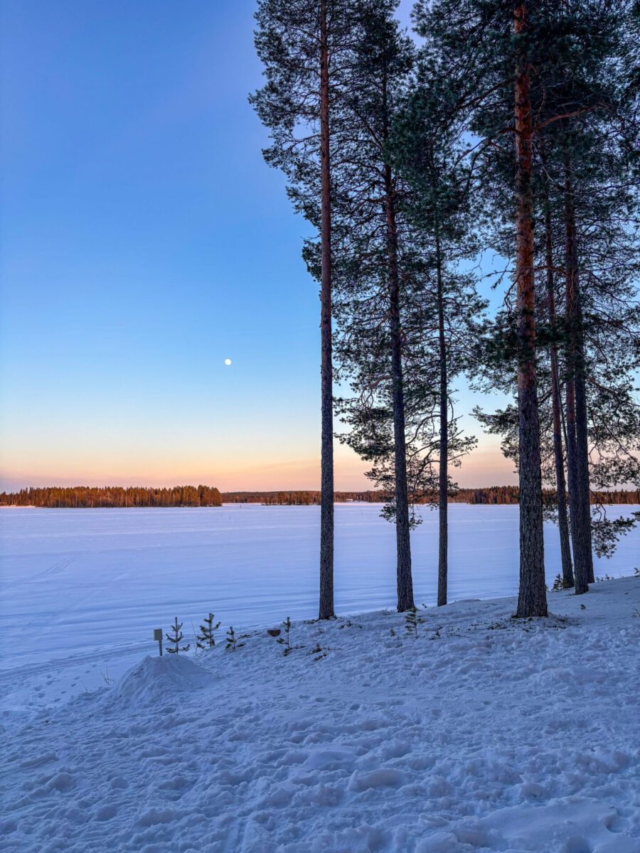 Ranua Sunset Lapland
