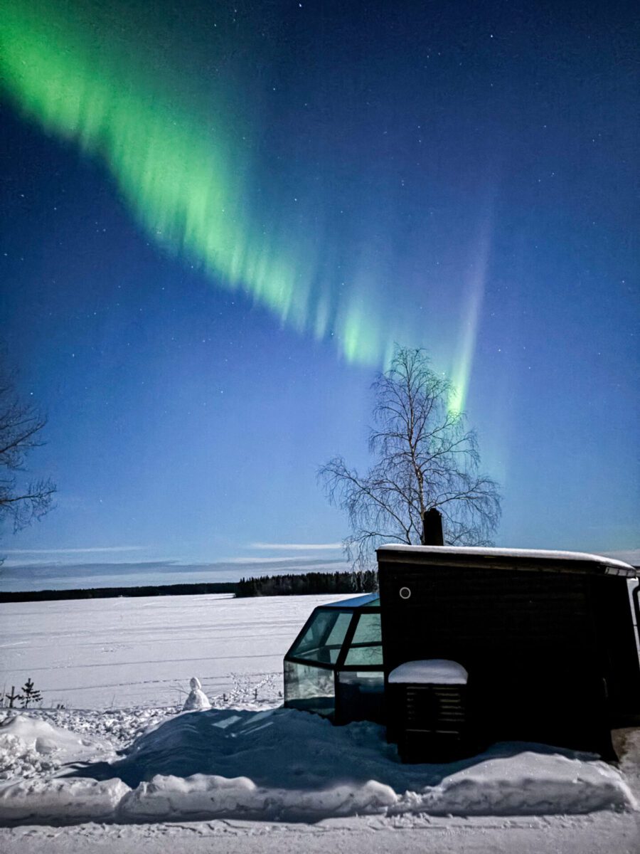 Arctic Fox Igloos Ranua Northern Lights