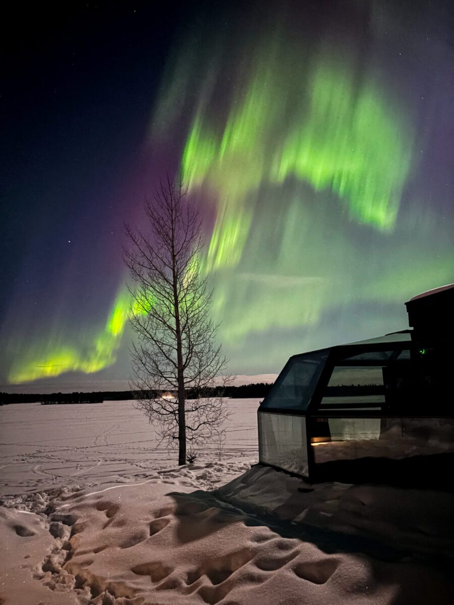 Arctic Fox Igloos Ranua Northern Lights