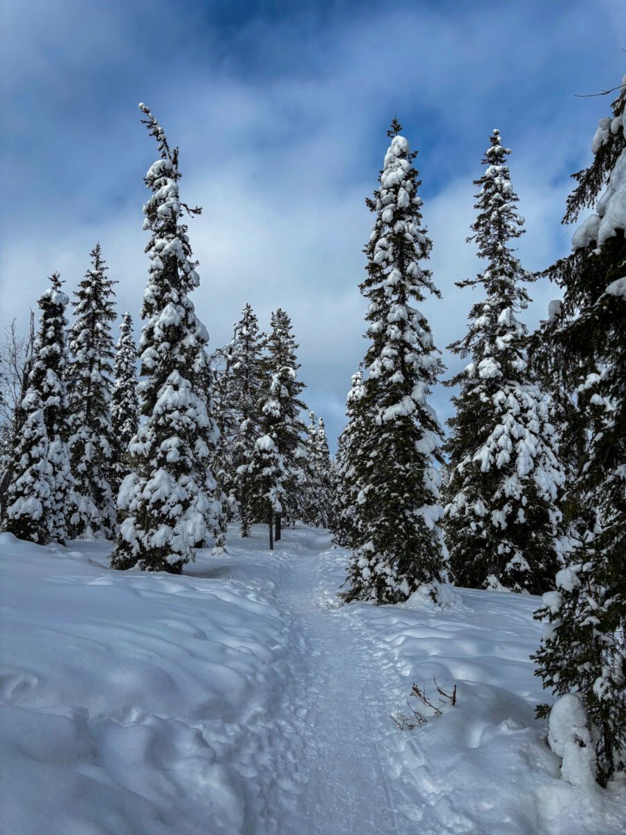 Riisitunturin National Park