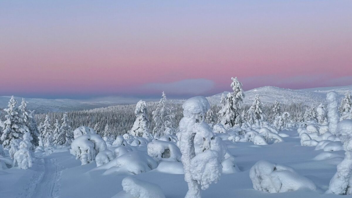 Saariselkä Lapland Finland