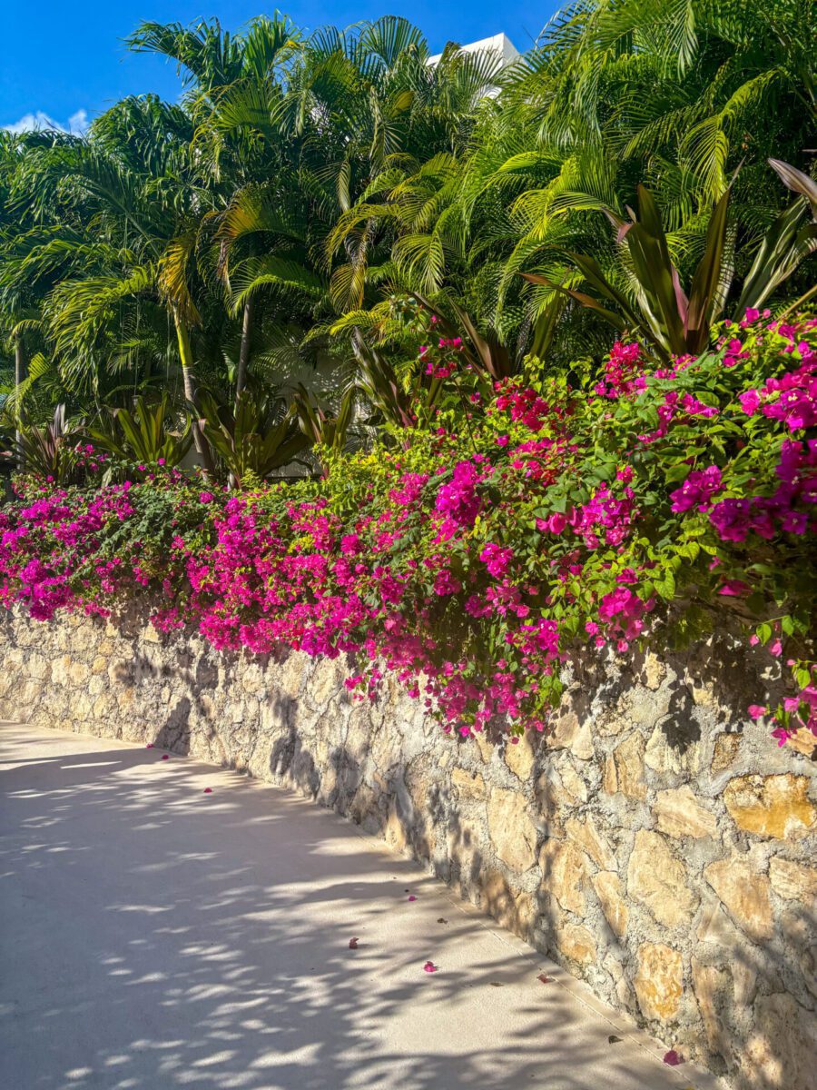 Nickelodeon Resort Mexico