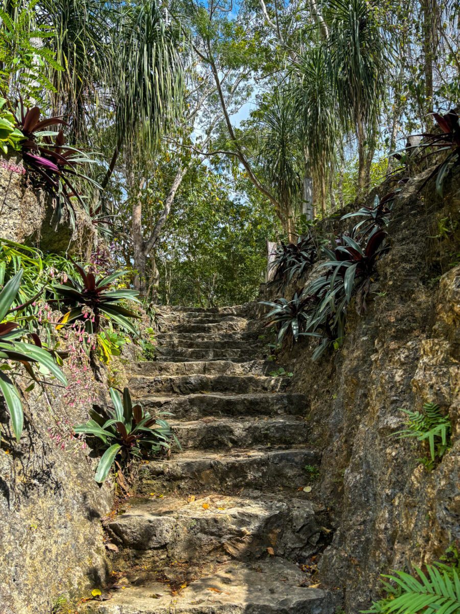 Cenote X'ux Ha Yucatan Mexico
