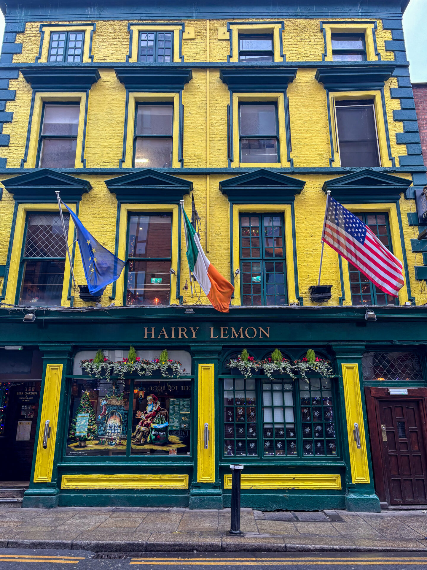 Hairy Lemon Pub Dublin