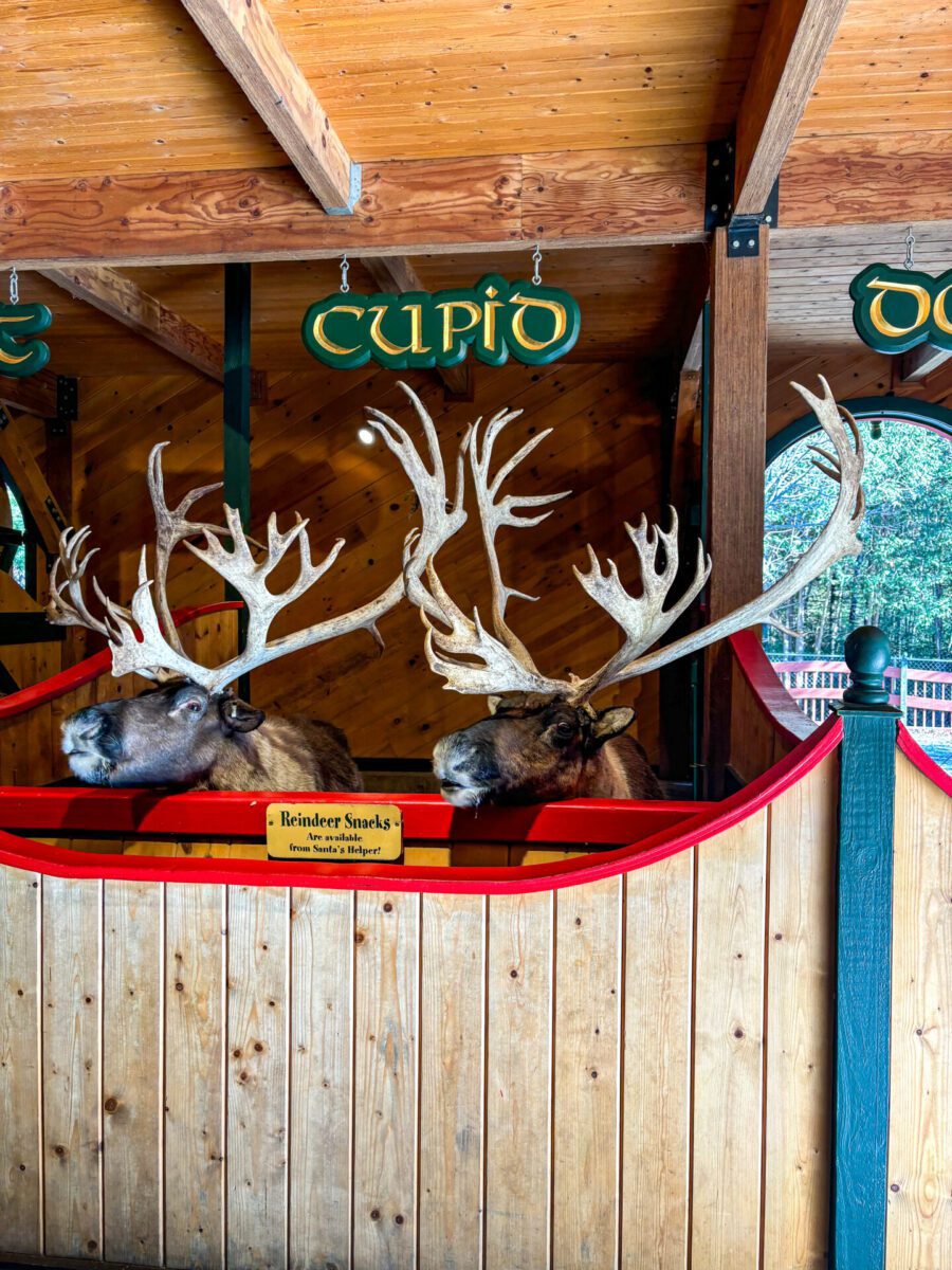 Santa's Village Reindeers