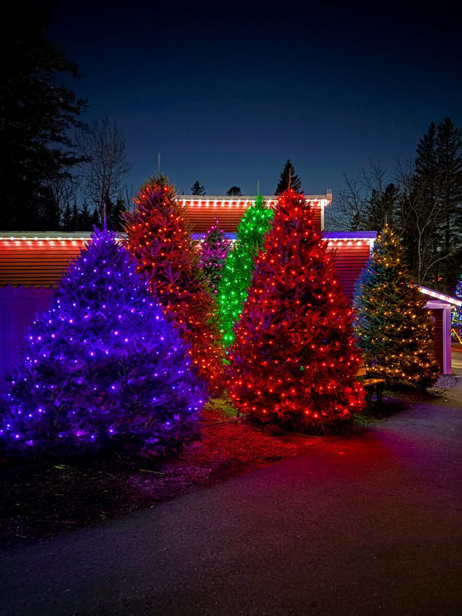 Santa's Village Christmas Lights