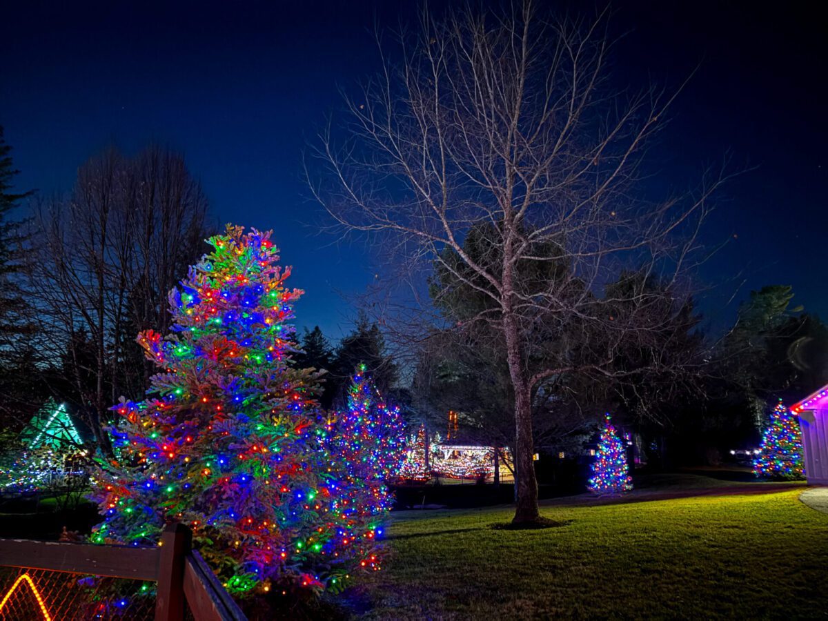 Santa's Village Christmas Lights