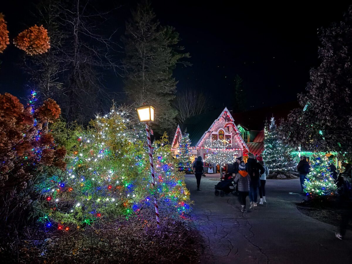 Santa's Village Christmas Lights