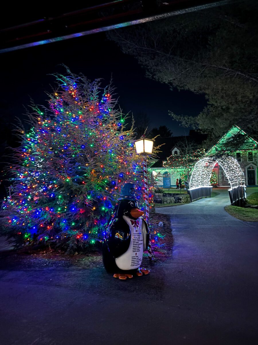 Santa's Village Christmas Lights