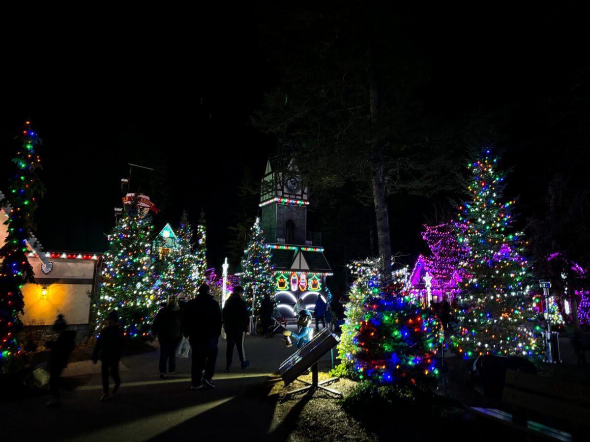 Santa's Village Christmas Lights