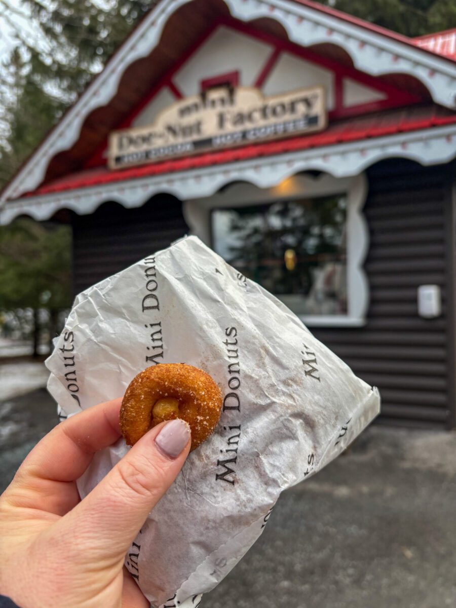 Santa's Village Cinammon Sugar Donuts