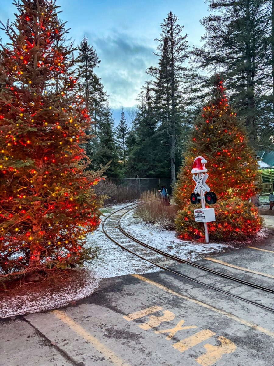 Santa's Village Train