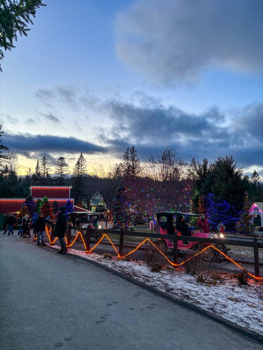 Santa's Village Christmas Lights