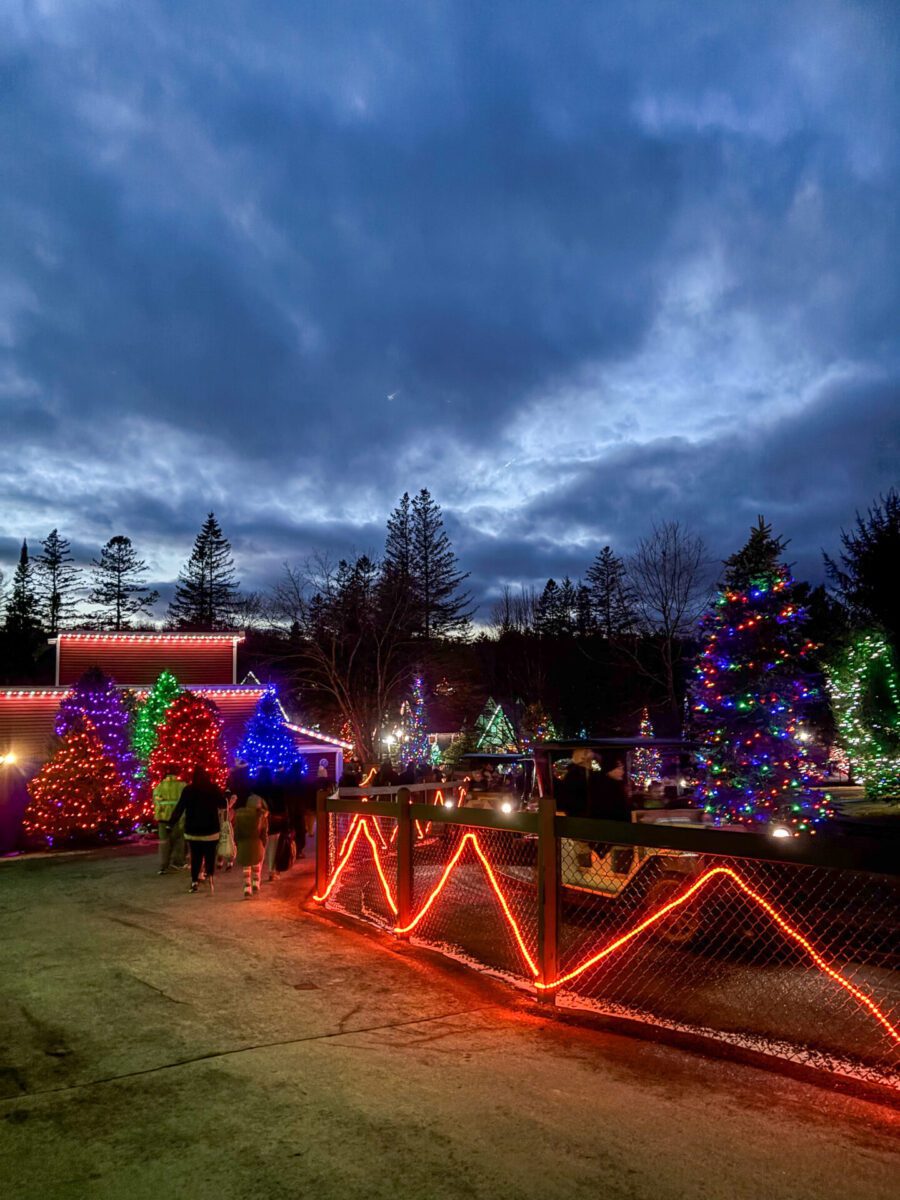 Santa's Village Christmas Lights