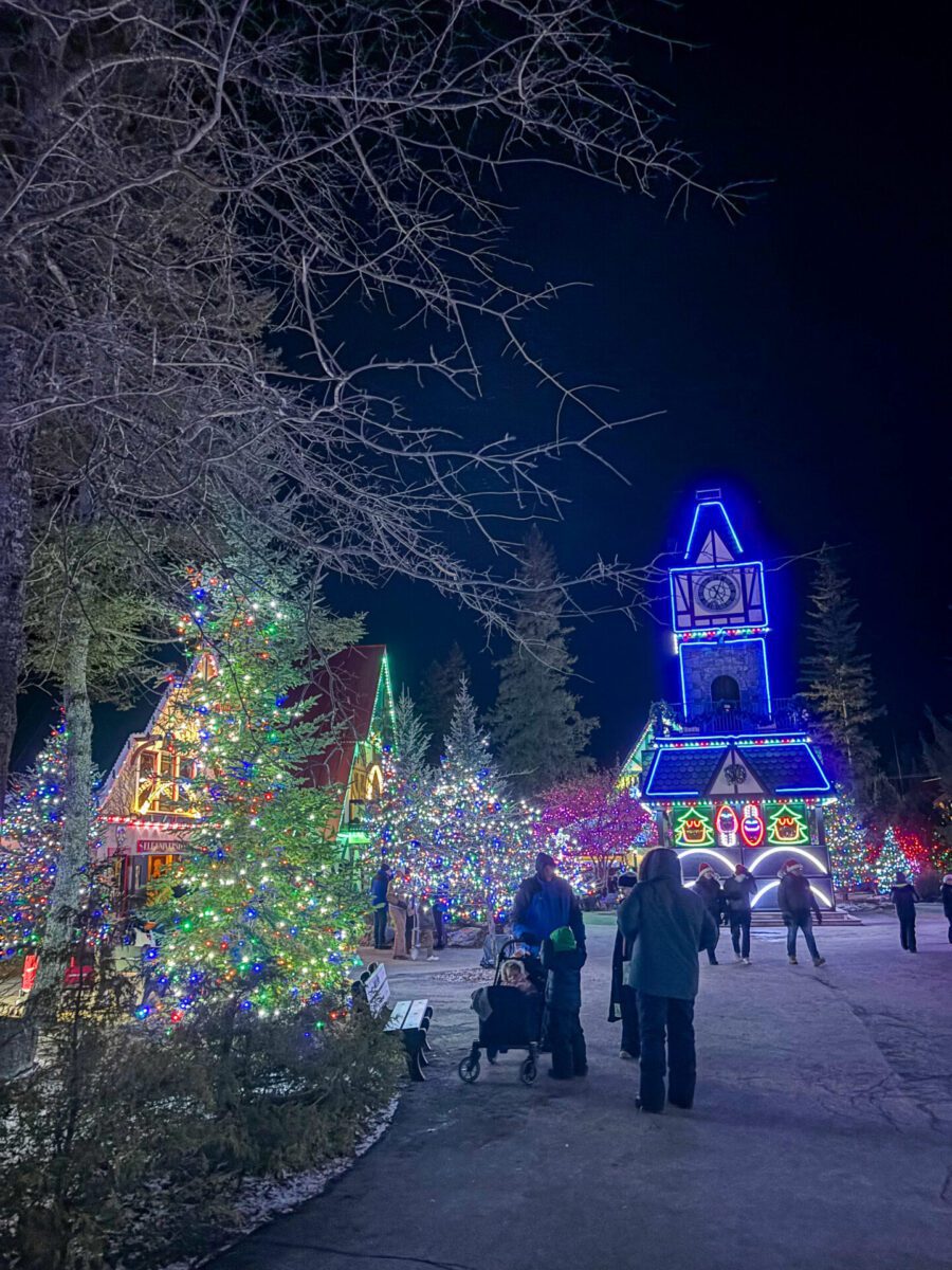 Santa's Village Christmas Lights