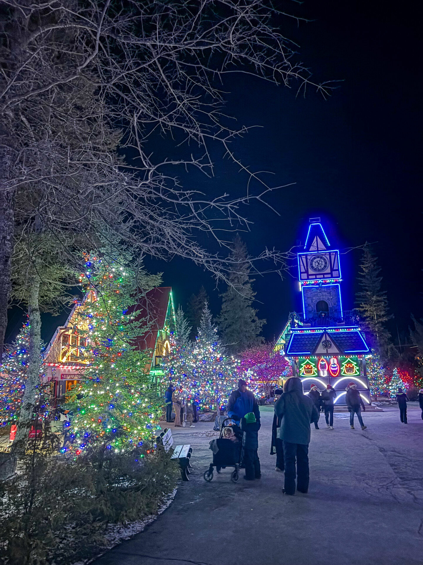 Santa's Village Christmas Lights
