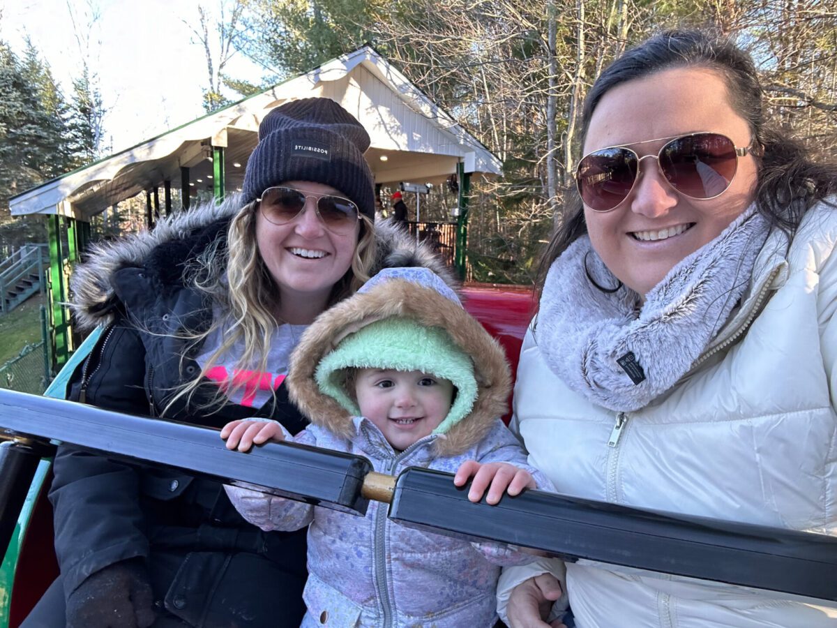 Santa's Village Flying Sleighs